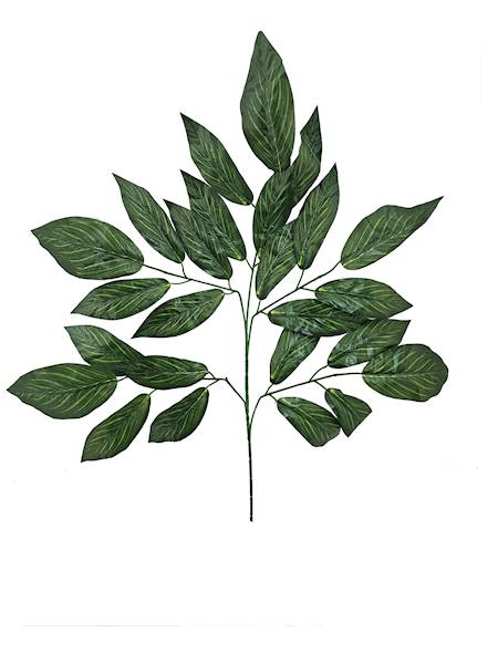 Liść piątka, W6506