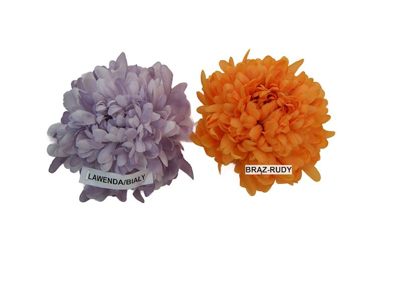 Chryzantema naturalna, W234396