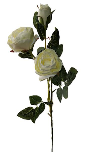 Gałązka róży, DG14