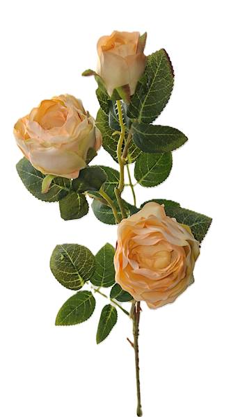 Gałązka róży, DG14