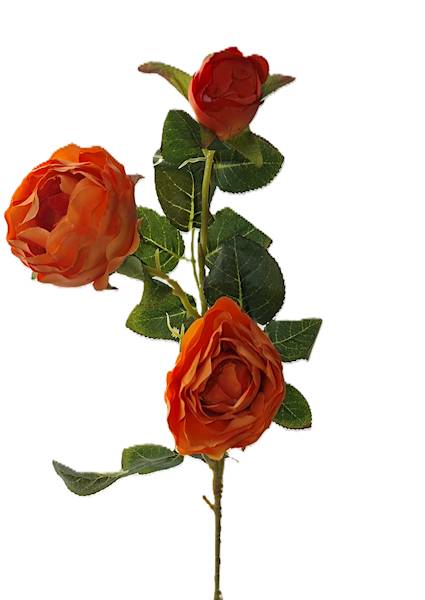 Gałązka róży, DG14