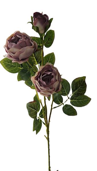 Gałązka róży, DG14