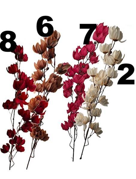 Gałązka kwiatowa, DG13