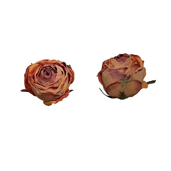 Róża mrożona w. 7,5cm, DGW6