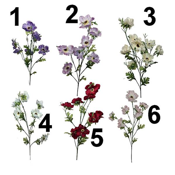 Anemon na łodydze, DG5