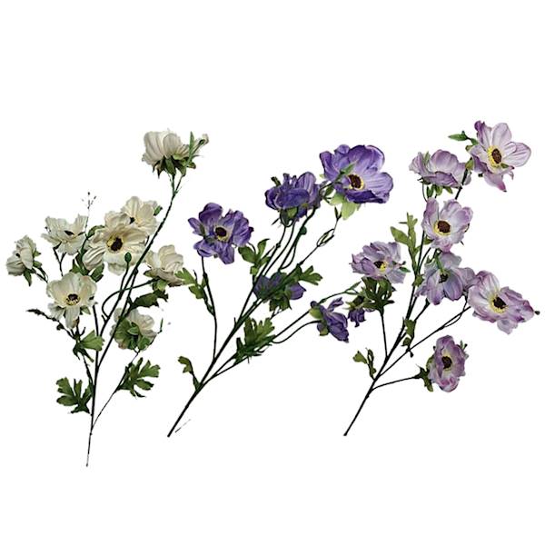 Anemon na łodydze, DG5