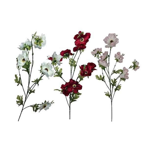 Anemon na łodydze, DG5