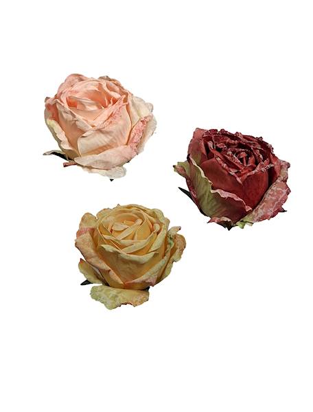 Róża mrożona w. 8,5cm, DGW7