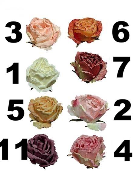 Róża mrożona w. 8,5cm, DGW7