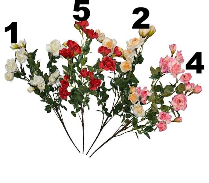 Gałązka drobnej róży, DG17