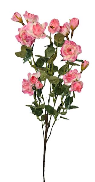 Gałązka drobnej róży, DG17