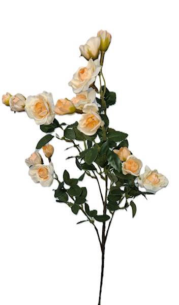 Gałązka drobnej róży, DG17