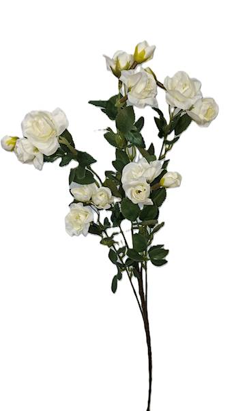 Gałązka drobnej róży, DG17