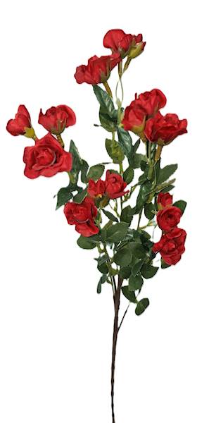 Gałązka drobnej róży, DG17