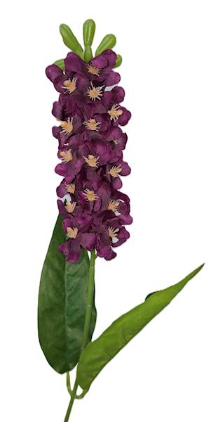 Ostróżka na łodydze, DG20