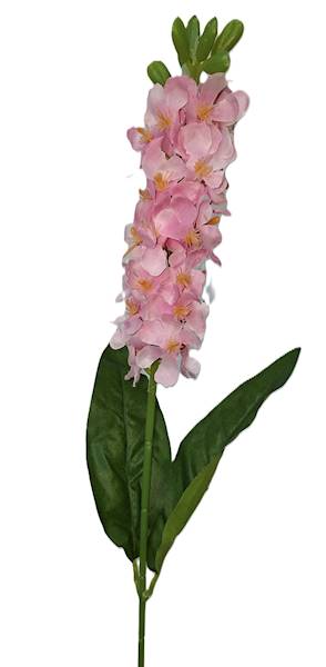 Ostróżka na łodydze, DG20