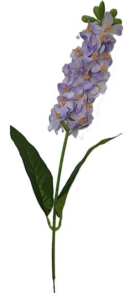 Ostróżka na łodydze, DG20