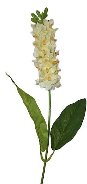 Ostróżka na łodydze, DG20