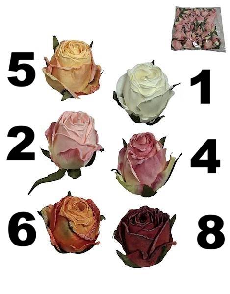 Róża mrożona w. 5,5cm, DGW3