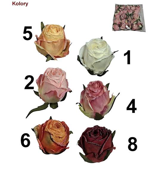 Róża mrożona w. 5,5cm, DGW3