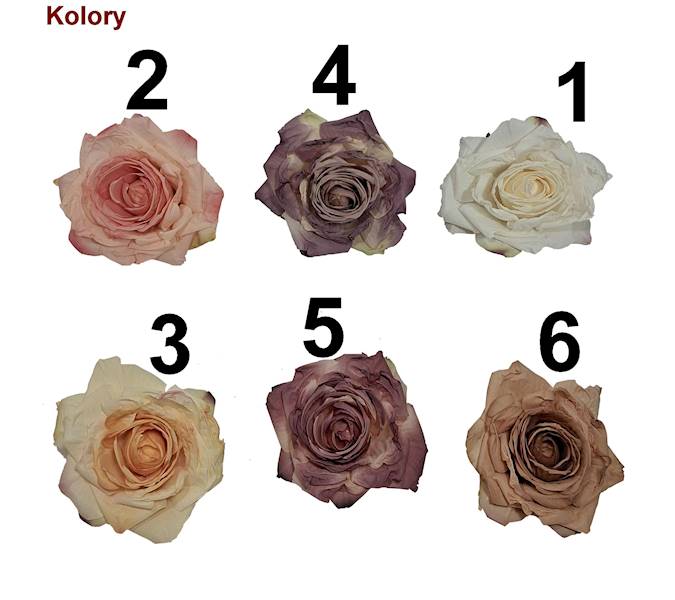 Róża mrożona w. 9cm, DGW4