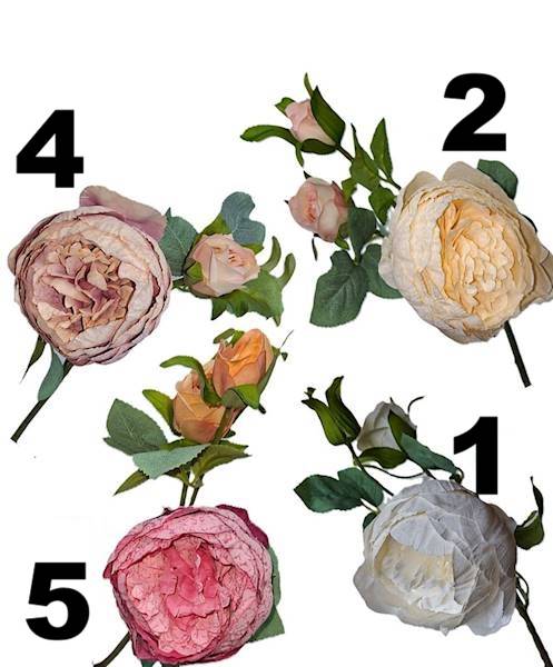 Peonia na gałązce, DG18