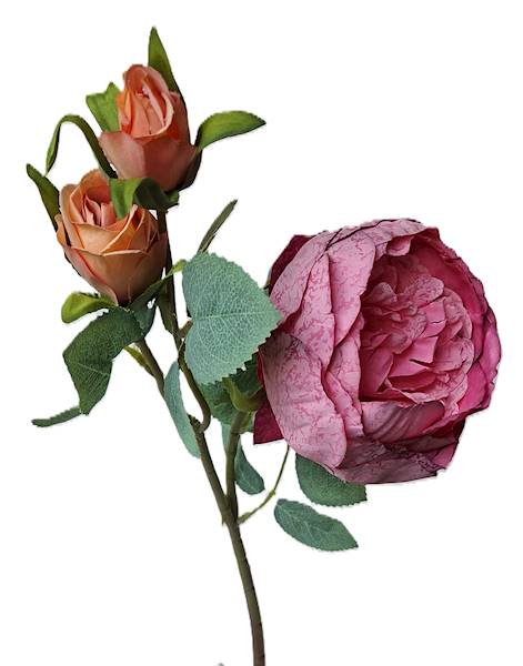 Peonia na gałązce, DG18