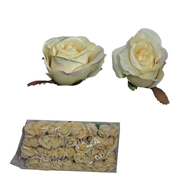 Róża w. 6.5cm, DGW8