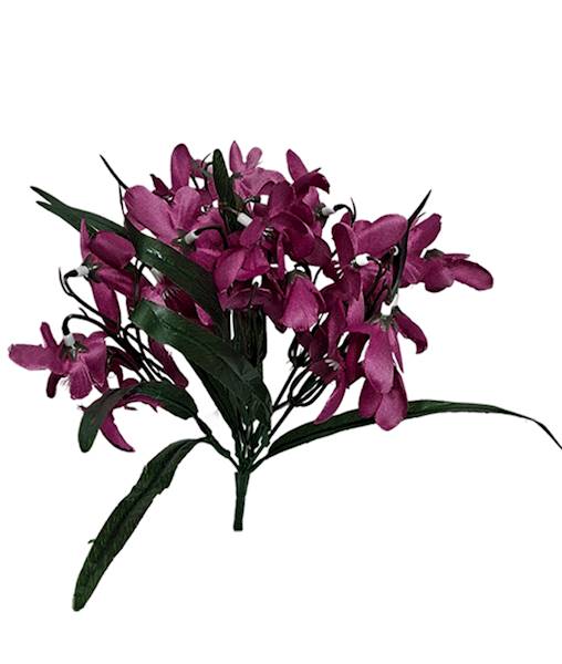 Przebiśnieg x5, C311