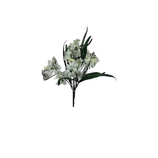 Przebiśnieg x5, C311