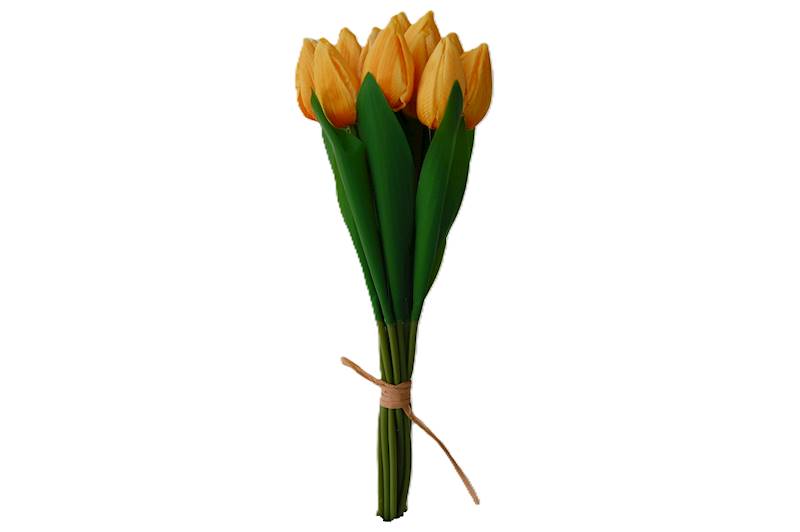 Bukiet tulipanów x12, WH026