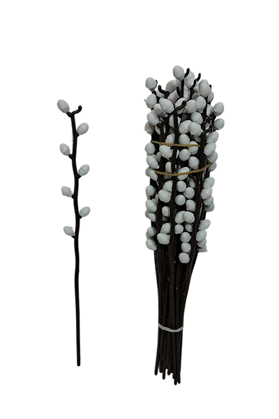 Bazia mała bez listka, PAWBA5