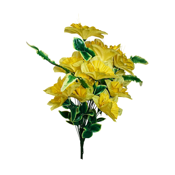 Bukiet żonkili x24, W06712