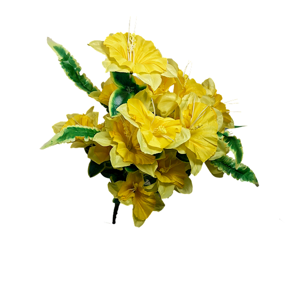 Bukiet żonkili x24, W06712