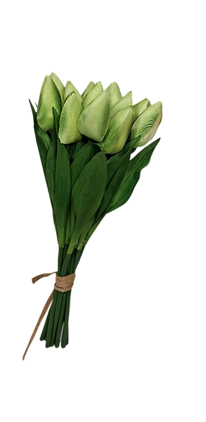 Bukiet tulipanów x12, WH018