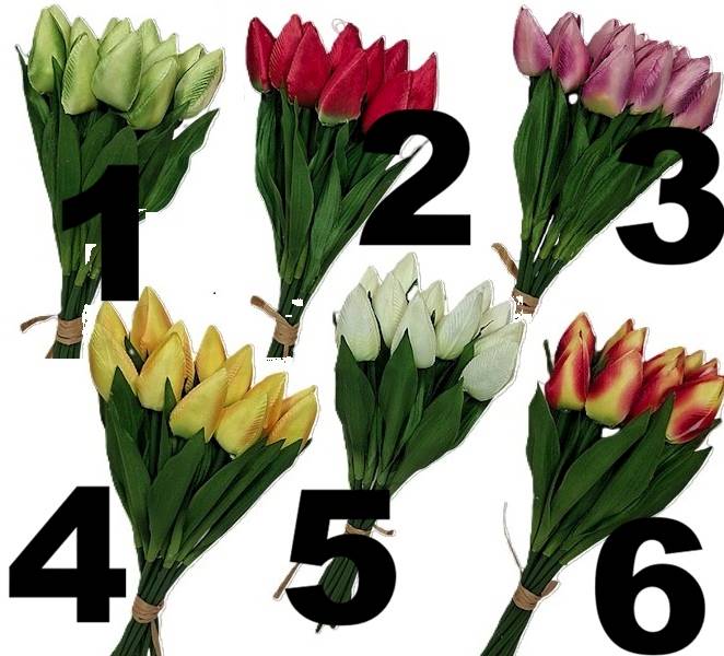 Bukiet tulipanów x12, WH018