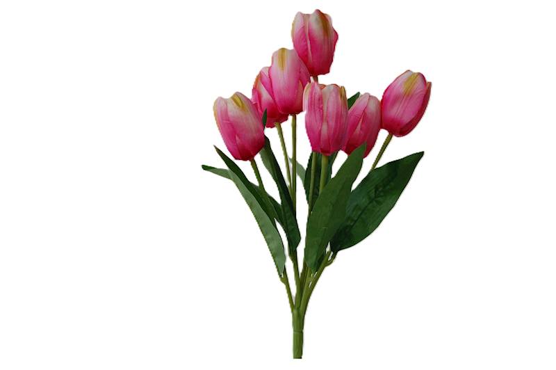 Bukiet tulipanów x7, FD31