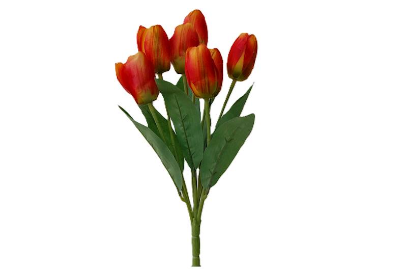 Bukiet tulipanów x7, FD31