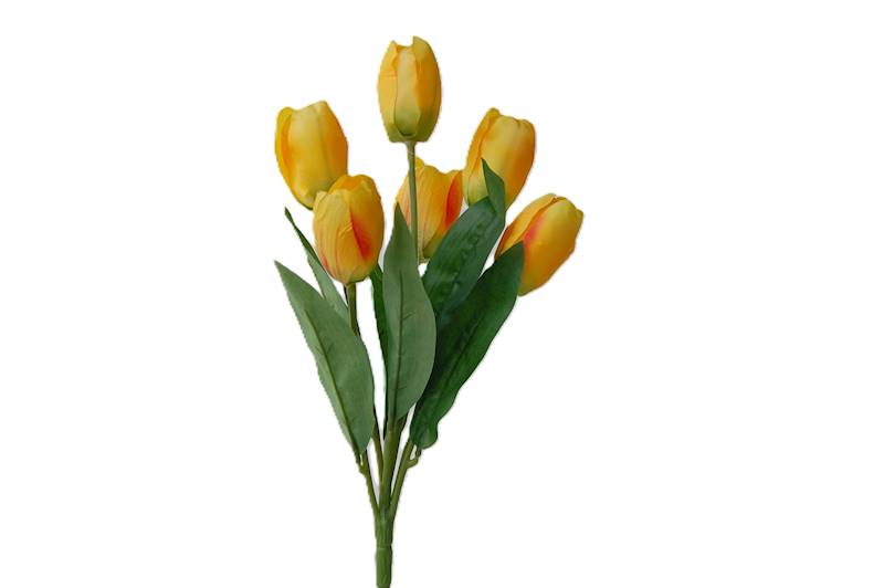 Bukiet tulipanów x7, FD31