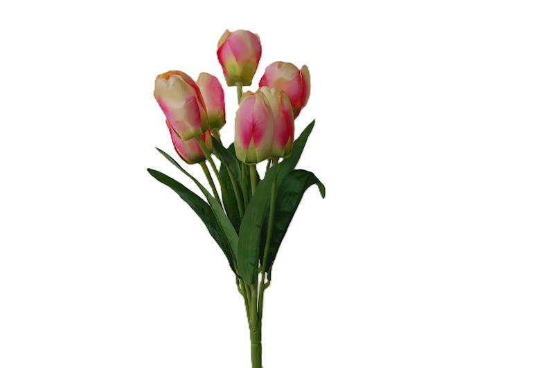 Bukiet tulipanów x7, FD31