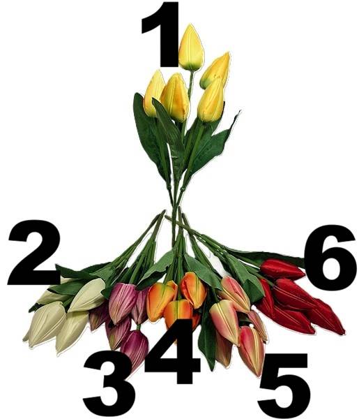 Bukiet tulipanów x5, FD32