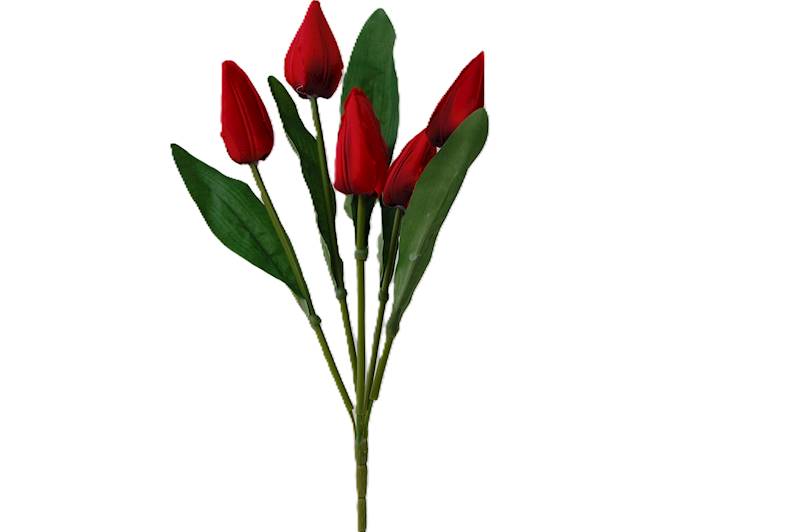 Bukiet tulipanów x5, FD32