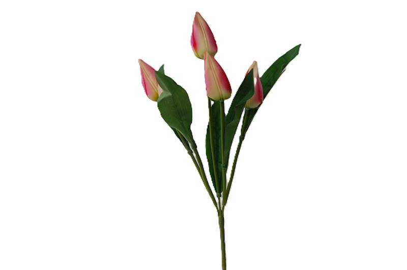 Bukiet tulipanów x5, FD32
