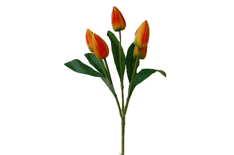 Bukiet tulipanów x5, FD32