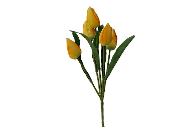 Bukiet tulipanów x5, FD32