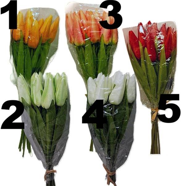 Mały tulipan poj, G60