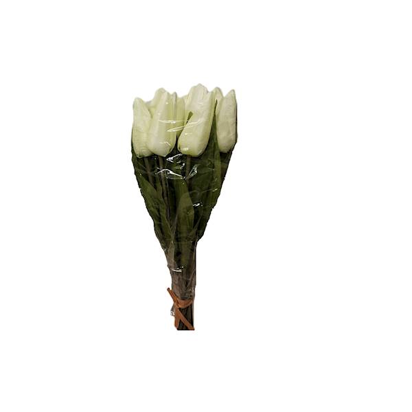 Mały tulipan poj, G60