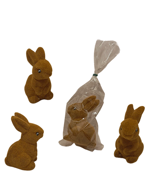 Zając duży, PAWBA6