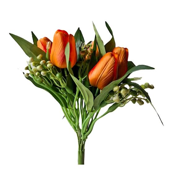 Bukiet tulipan x9, C527