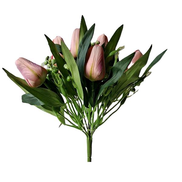 Bukiet tulipan x9, C527
